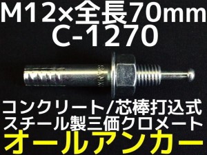 サンコーテクノ オールアンカー C-1270 M12×70mm 1本 スチール製 メッキ 三価クロメート処理 コンクリート用 芯棒打込み式「取寄せ品」