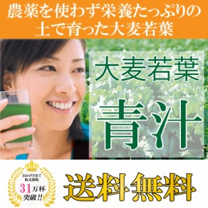 大麦若葉青汁 300P 緑黄色野菜を簡単摂取 青汁 大麦若葉 健康ドリンク 美容ドリンク ダイエットドリンク おいしい健康 おいしい青汁 食物