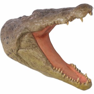 動物 オブジェ クロコダイルワニの壁掛け Crocodile Head Wall Plaque