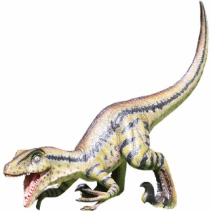 恐竜 オブジェ 鋭いくちばしのヴェロキラプトル インテリア イベント ディスプレイ Velociraptor - Razor Beaks -