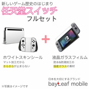 スキンシールとガラスフィルムナイロンケーブルのお得セット！　ニンテンドー スイッチ ガラス フィルム  Nintendo Switch 本体 用 保護