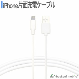 iPhone SE3(第3世代) iPhone8 8Plus iPhone7 iPhoneSE iPhone6s USB 充電ケーブル コード USBケーブル 1m 100cm 充電器 データ通信 アイ