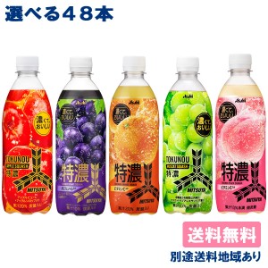 【アサヒ】三ツ矢 特濃フルーツスカッシュ PET 500ml 選べる2ケースセット 48本（ 24本入 x 2ケース ）【送料無料】【別途送料地域あり】