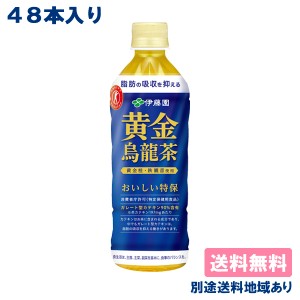 【伊藤園】特定保健用食品 黄金烏龍茶 PET 500ml x 24本 x 2ケース（48本） 【送料無料】【別途送料地域あり】【RCP】特保 トクホ