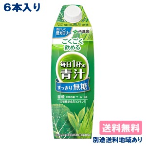 伊藤園 ごくごく飲める 毎日1杯の青汁 すっきり無糖 紙パック 1000ml x 6本 送料無料 別途送料地域あり 屋根型キャップ付容器 1L