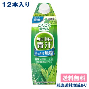 伊藤園 ごくごく飲める 毎日1杯の青汁 すっきり無糖 紙パック 1000ml x 12本 （6本入 x 2ケース） 送料無料 別途送料地域あり 屋根型キャ