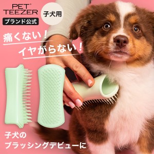 ペット ブラシ 犬 猫 公式 タングルティーザー 正規品 ペットティーザー パピー ペット用品 子犬 グルーミングブラシ 換毛期 抜け毛