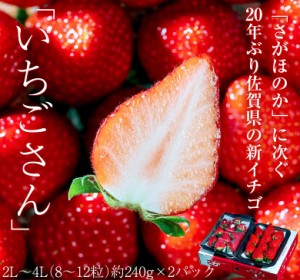 『いちごさん』 佐賀県産 いちご 2L〜4L （8〜12粒）約240g×2パック ※冷蔵　送料無料