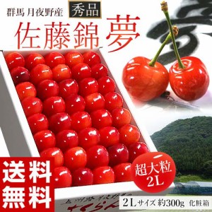 さくらんぼ 佐藤錦 「夢」 群馬県 月夜野産 秀品 2Lサイズ 40粒 (約300g) 化粧箱 ※冷蔵 送料無料