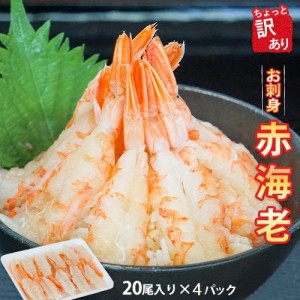 寿司 エビ 冷凍の通販｜au PAY マーケット