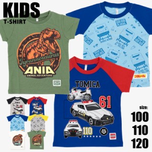 Tシャツ トミカ プラレール アニア 半袖Tシャツ 100 110 120 キッズ 男の子 男児 男子 boy TOMICA タカラトミー 薄手 シャツ ウエア トッ