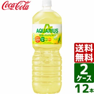 【2ケースセット】アクエリアス 1日分のマルチビタミン PET 2L 1ケース×6本入 送料無料