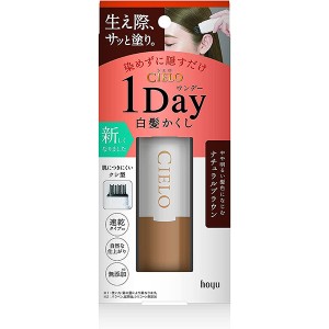 ホーユー シエロ CIELO ワンデー白髪かくし ナチュラルブラウン 9ml