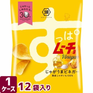 湖池屋 コイケヤ すっぱムーチョ じゃがうまビネガー 55g×12袋 箱買い お菓子 スナック菓子 ポテトチップス ポテチ