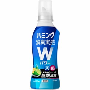 花王 ハミング 消臭実感Ｗパワー クリアシトラスの香り 本体 510ml