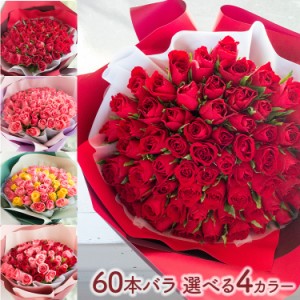 最短翌日着 バラの花束 還暦祝い バラ60本 花束 薔薇 赤 ピンク 生花の花束　翌日配達 花 ギフト プロポーズ 還暦 誕生日 プレゼント 誕