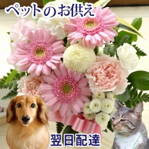 お供え花 ペットへ贈るお供えアレンジ フラワーギフト お供え アレンジ 仏花 お供え お悔み ペット専用　明日着 メッセージカード FKAA