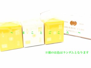 ギフト 父の日 福砂屋 フクサヤキューブ カステラ 2個入 お菓子 東京お土産 スイーツ プレゼント 贈答品 お土産袋付き