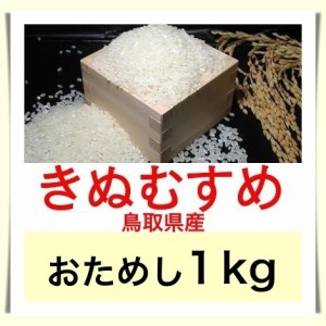 鳥取のお米 令和５年産 鳥取県産きぬむすめ １kg おためしに最適