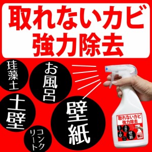 壁紙 カビ取り剤 市販の通販 Au Pay マーケット