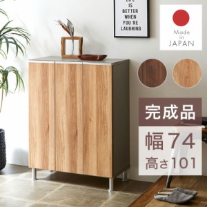 下駄箱 シューズボックス 靴箱 ロータイプ 収納棚 完成品 国産 スリム 北欧 モダン ナチュラル 玄関収納 シューズラック 靴入れ キャビネ