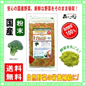 A 国産 ブロッコリー 【粉末】 (90g 内容量変更) やさい パウダー 100％ 送料無料 北海道 沖縄 離島も可 森のこかげ 健やかハウス 野菜粉