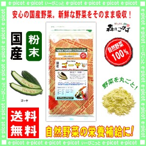 A 国産 ゴーヤ 【粉末】 (60g 内容量変更) やさい パウダー 100％ 送料無料 北海道 沖縄 離島も可 森のこかげ 健やかハウス 野菜粉末 苦