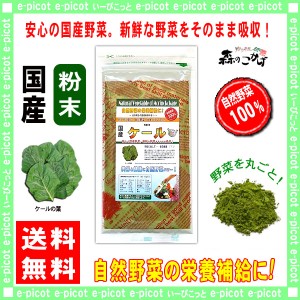 A 国産 ケール 【粉末】 (80g 内容量変更) やさい パウダー 100％ 送料無料 北海道 沖縄 離島も可 森のこかげ 健やかハウス 野菜粉末 け