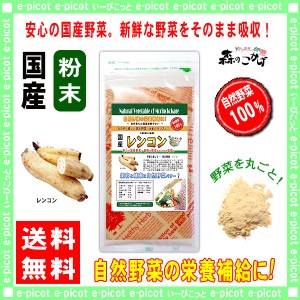 A 国産 レンコン 【粉末】 (60g 内容量変更) やさい パウダー 100％ 送料無料 北海道 沖縄 離島も可 森のこかげ 健やかハウス 野菜粉末 