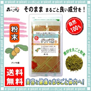 B グァバ茶 (粉末) パウダー (170g 内容量変更) 送料無料 北海道 沖縄 離島も可 森のこかげ 健やかハウス グアバ ぐあば ぐぁば茶 ガバ茶