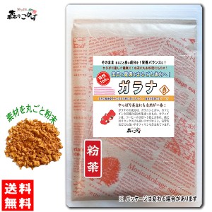 B2 ガラナ 100g (粉末） パウダー 送料無料 北海道 沖縄 離島も可 森のこかげ 健やかハウス 売筋粉