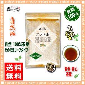 5 グァバ茶 (200g) ガバ茶 100％ グアバ茶 送料無料 北海道 沖縄 離島も可 森のこかげ 健やかハウス