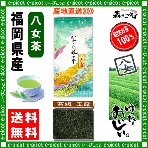 Y 高級 玉露茶 100g 八女茶 福岡県 日本茶 厳選の緑茶 送料無料 北海道 沖縄 離島も可 森のこかげ 健やかハウス