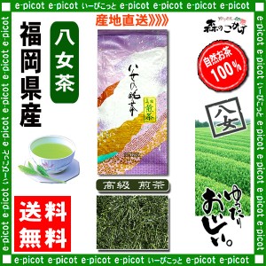 Y 高級 煎茶 100g 八女茶 福岡県 日本茶 厳選の緑茶 送料無料 北海道 沖縄 離島も可 森のこかげ 健やかハウス