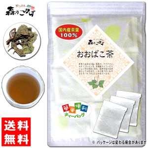 6 国産 おおばこ茶 (3g×50p) ティーバッグ 送料無料 北海道 沖縄 離島も可 森のこかげ 健やかハウス