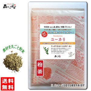 B2 ユーカリ 120g (粉末) パウダー 送料無料 森のこかげ 健やかハウス