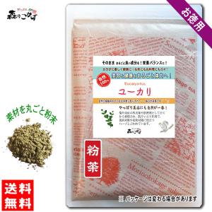 B2 ユーカリ 500g (粉末) パウダー 送料無料 森のこかげ 健やかハウス