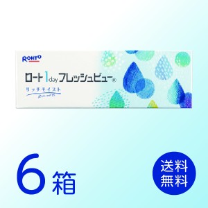 ロート ワンデーフレッシュビューリッチモイスト 6箱セット (1箱30枚) ロート 1日使い捨て 送料無料