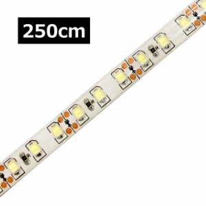 [250cm×1本] 高密度(120LED/1M) 24V LEDテープライト 防水 白ベース