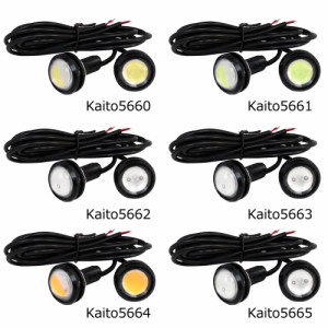 LED スポットライト イーグルアイ 大玉 防水 12V 10W 23mm 黒色ソケット 2個