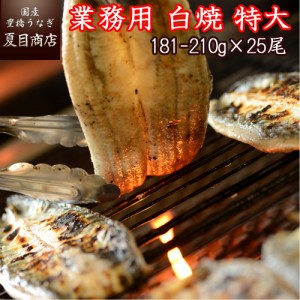 うなぎ 国産 業務用うなぎ白焼き 無頭背開き 特大(1尾約181-210g×25尾) 豊橋うなぎ ウナギ 鰻 送料無料 お中元 暑中見舞い 誕生日 プレ