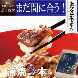 父の日 まだ間に合う うなぎ 国産 ギフト 蒲焼 155-167g×2尾 大サイズ 大盛2人前 送料無料 豊橋うなぎ プレゼント 贈り物 真空パック お