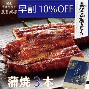 通常9,862円→早得 8,875円 うなぎ 国産 早割 父の日 ギフト 蒲焼き 155-167g×3尾 大サイズ 大盛3人前 送料無料 豊橋うなぎ プレゼント 