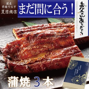 父の日 まだ間に合う うなぎ 国産 ギフト 蒲焼き 155-167g×3尾 大サイズ 大盛3人前 送料無料 豊橋うなぎ プレゼント 贈り物 真空パック 