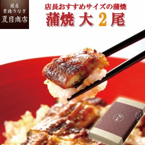 うなぎ 国産 贈り物用 蒲焼 155-167g×2尾 大盛2人前 送料無料 豊橋うなぎ 父の日 ギフト プレゼント 贈り物 真空パック 誕生日 お祝 内