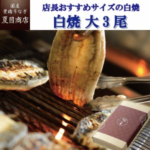 本日全品P3% うなぎ 国産 贈り物用 白焼 155-167g×3尾 大盛3人前 送料無料 豊橋うなぎ 父の日 ギフト プレゼント 贈り物 真空パック 誕