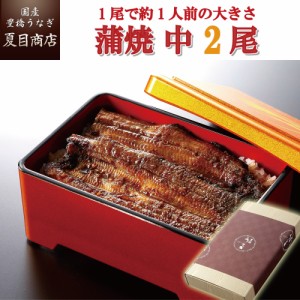 うなぎ 国産 贈り物用 蒲焼き 115-130g ×2尾  約2人前 送料無料 豊橋うなぎ 父の日 ギフト プレゼント 贈り物 真空パック 誕生日 お祝 