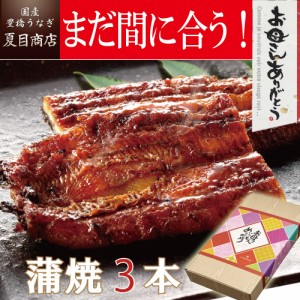 母の日 まだ間に合う うなぎ 国産 ギフト 蒲焼き 155-167g×3尾 大サイズ 大盛3人前 送料無料 豊橋うなぎ プレゼント 贈り物 真空パック 