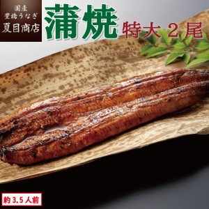 うなぎ 国産 蒲焼き 特大181-210g×2尾 約3.5人前 豊橋うなぎ ウナギ 鰻 送料無料 母の日 父の日 お祝い 誕生日 プレゼント 食べ物 真空