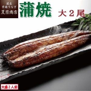 うなぎ 国産 蒲焼き 大155-180g×2尾 大盛2人前 豊橋うなぎ ウナギ 鰻 送料無料 母の日 父の日 お祝い 誕生日 プレゼント 食べ物 真空パ